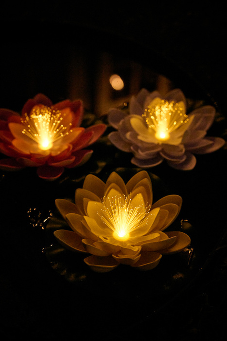 Solcellelampe vannlilje - Garden